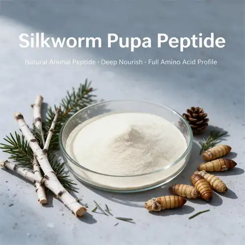 Is Silkworm Pupa Peptide a Smart Choice for Daily Wellness?
